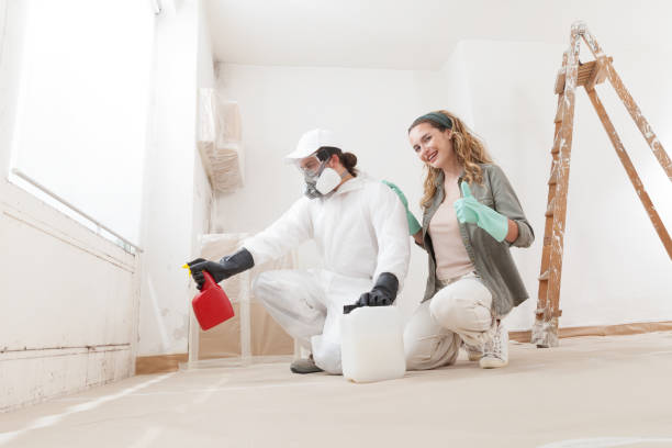 Trusted Marbury, AL Mold Inspection, Removal & Remediation Experts